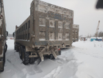 Shacman (Shaanxi) SX* 8x4 Самосвал SX33186W366C (Дизельный, 10,8 л, 441 л.с., МТ)