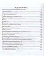 Анатомия центральной нервной системы. Изд. 17-е