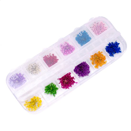 Сухоцветы в пластиковом контейнере 12 в 1