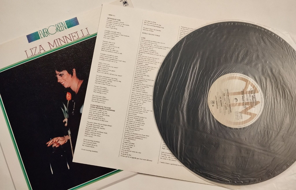 Винтажная виниловая пластинка LP Liza Minnelli (Japan 1980)