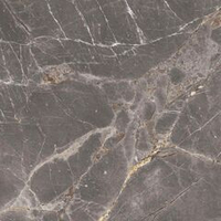 Laparet Nebula Grey Полированный 80x80