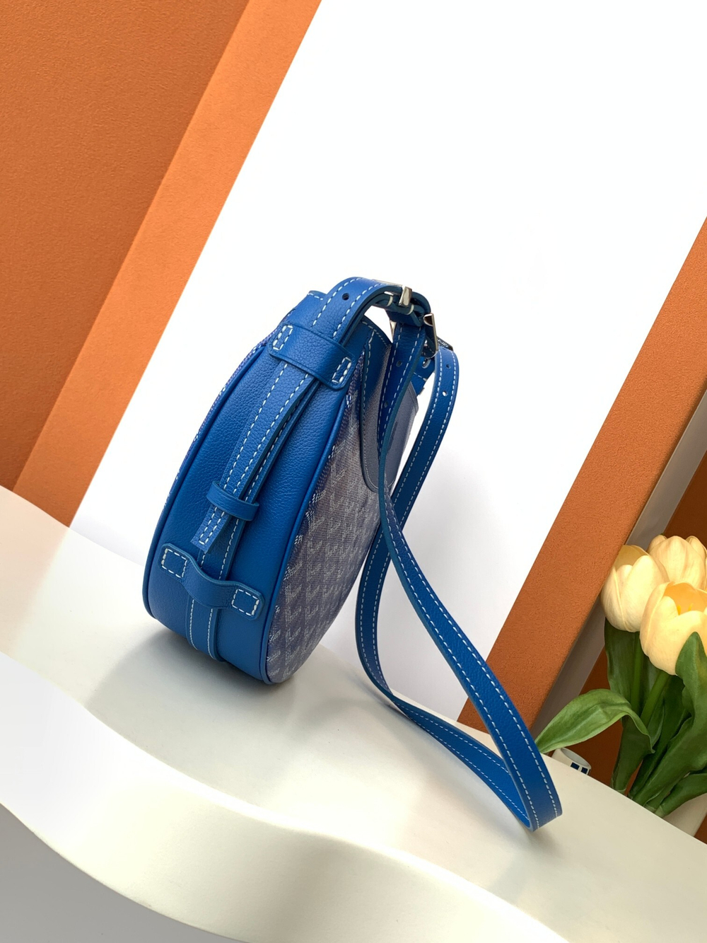 Goyard Hirondelle Bag (11 colors)