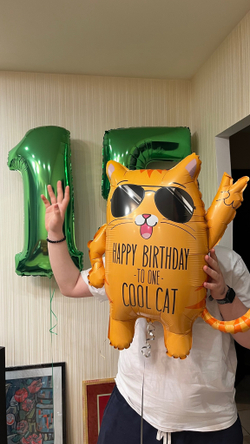 Набор 15 лет крутому коту