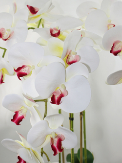 Искусственные орхидеи белые яркие 3 ветки латекс 65см в кашпо