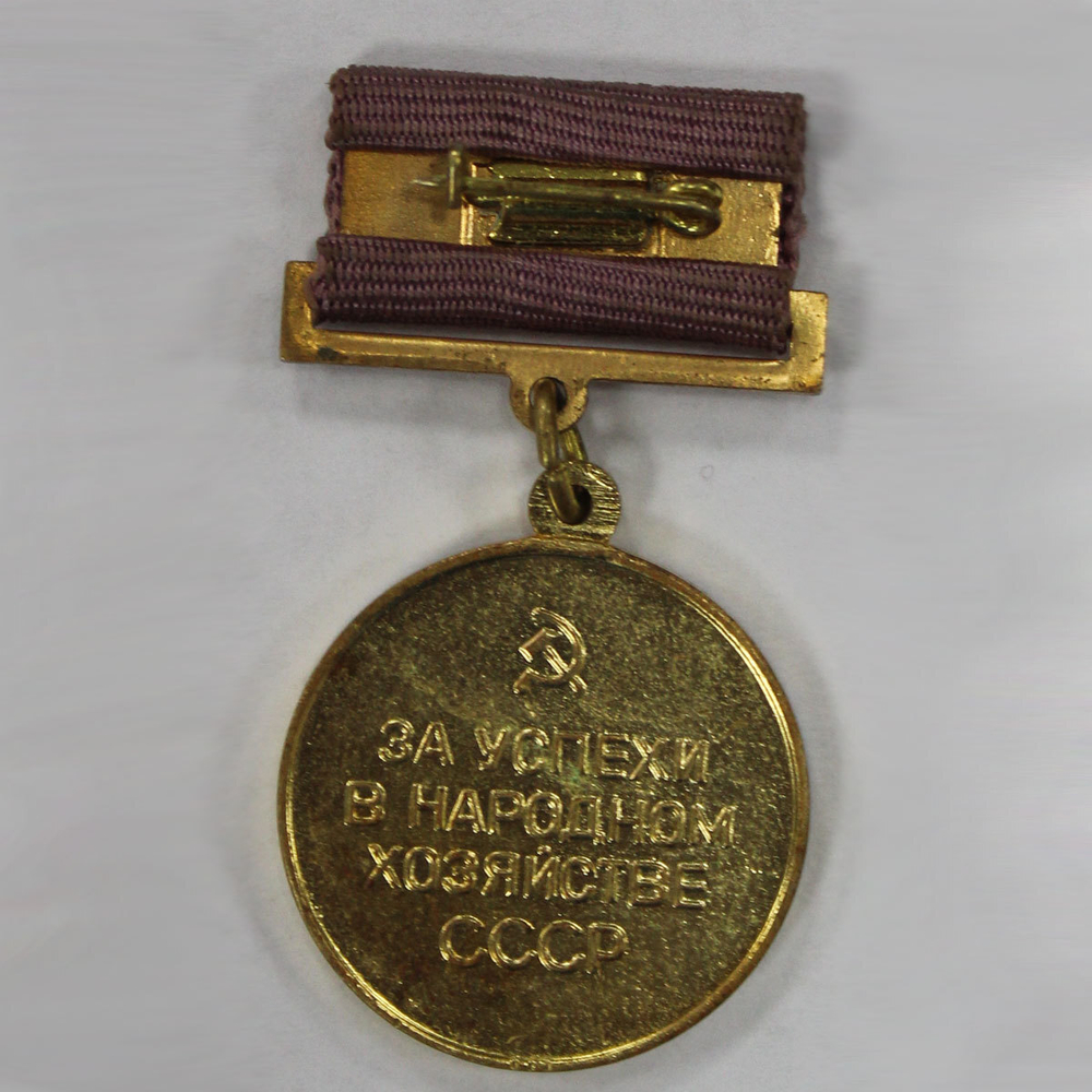 Медаль "Выставка достижений народного хозяйства СССР" (за успехи в народном хозяйстве СССР) XF
