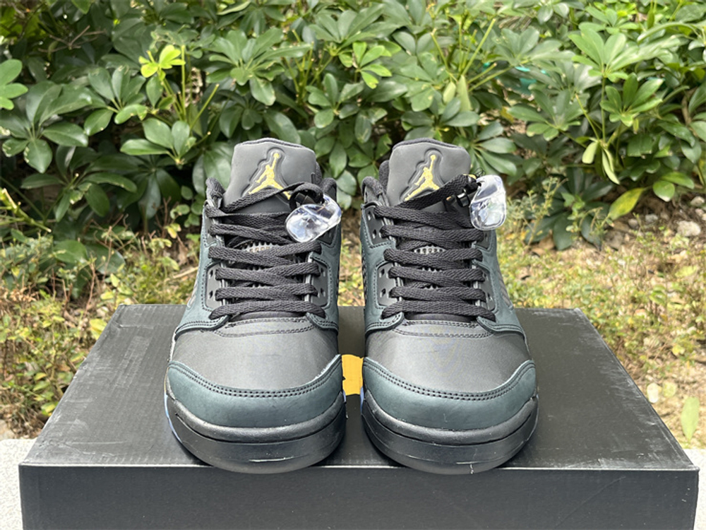 Air Jordan 5 DJ1094-001