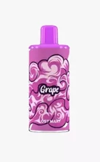LOST MARY PSYPER 2500 Prefilled Pod - Grape (5% nic)
