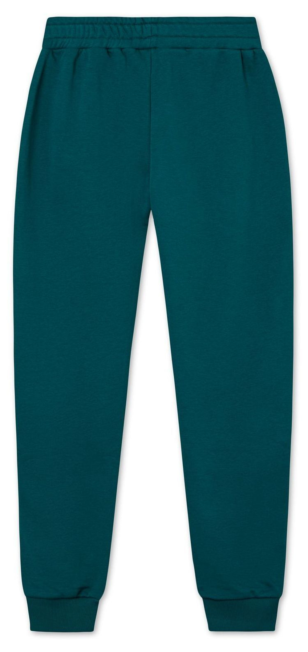 Мужские теннисные штаны Fila Hemi Track Pants Men - зеленый