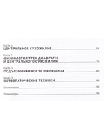 Краниосакральная архитектура