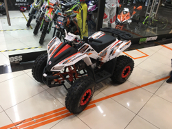 ATV Motoland 125 COYOTE