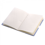 Записная книжка 12,5 см * 17,5 см , 7БЦ, Alingar, ламинация (soft touch), клапан на магн со стразой, 95л., комб. внутр. блок, "Котик с персиками"