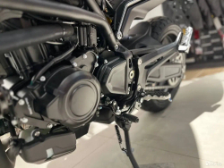 Benelli Leoncino 800