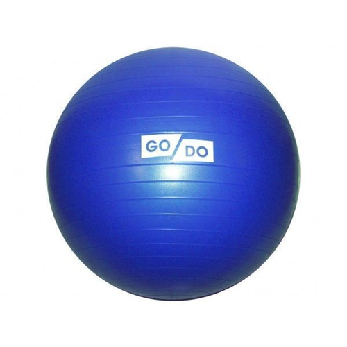 Мяч гимнастический Anti-Burst 55 см GO DO