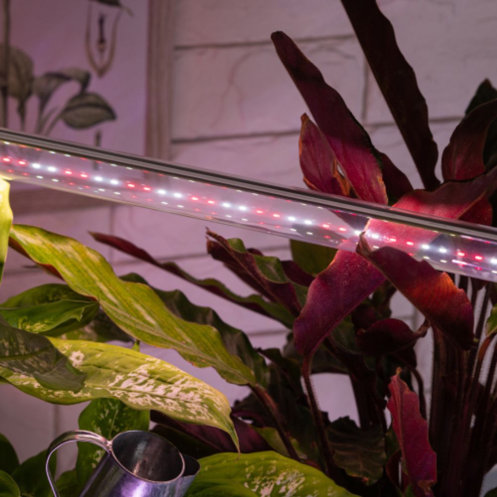 Фитолампа для растений светодиодная ЭРА FITO-18W-Ra90-Т8-G13-NL полного спектра 18 Вт Т8 G13 | Фитолампы T8