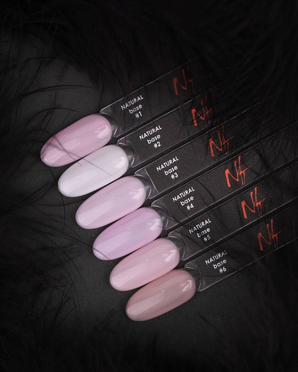 photo_2024-06-13_01-07-33