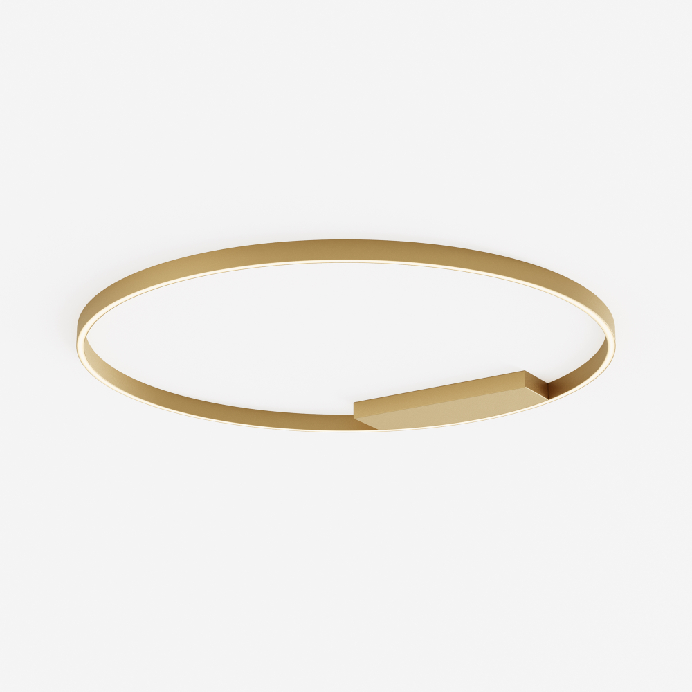 Потолочный светильник Maytoni MOD058CL-L65BSK