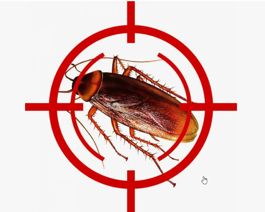 Уничтожение тараканов