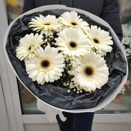 Букет из 7 белых гербер