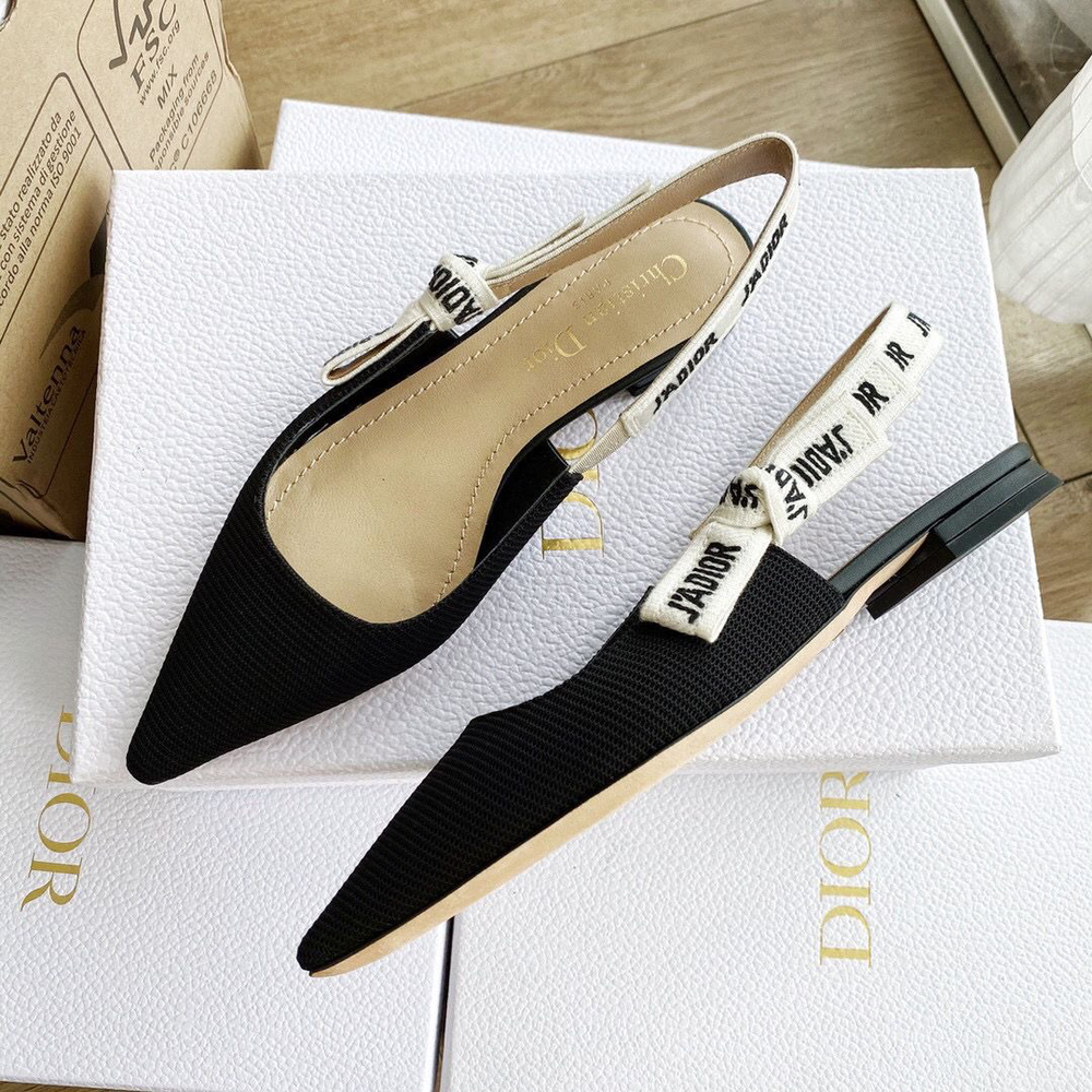 Балетки Christian Dior