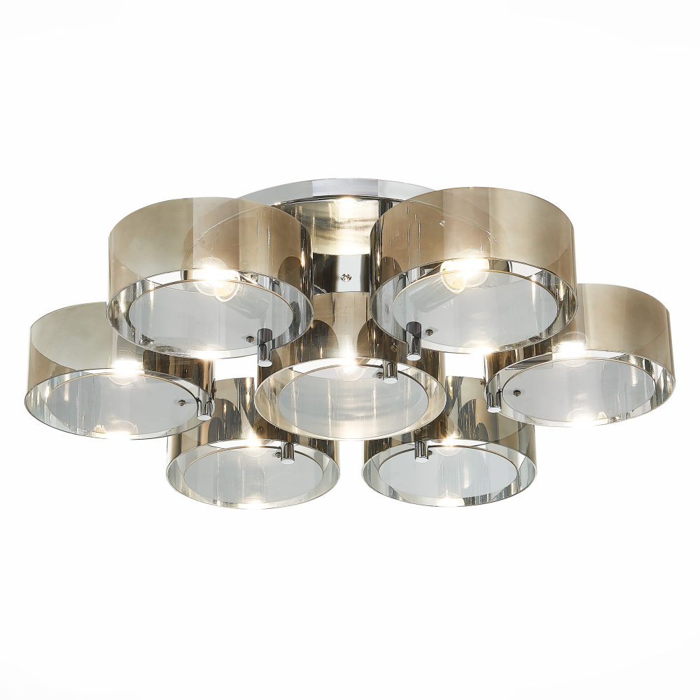 Светильник потолочный Evoluce Foresta SL483.702.07