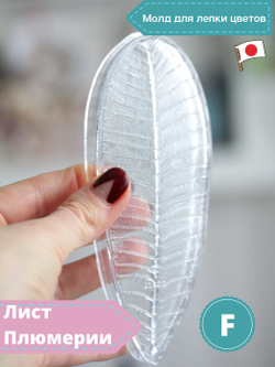 Молд F для лепки /пластиковая форма Лист Плюмерии Франжипани CLAYCRAFT BY DECO