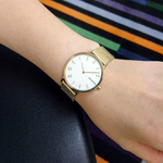 Женские наручные часы Skagen SKW2713