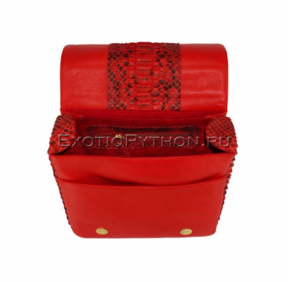Сумка из кожи питона BG-219