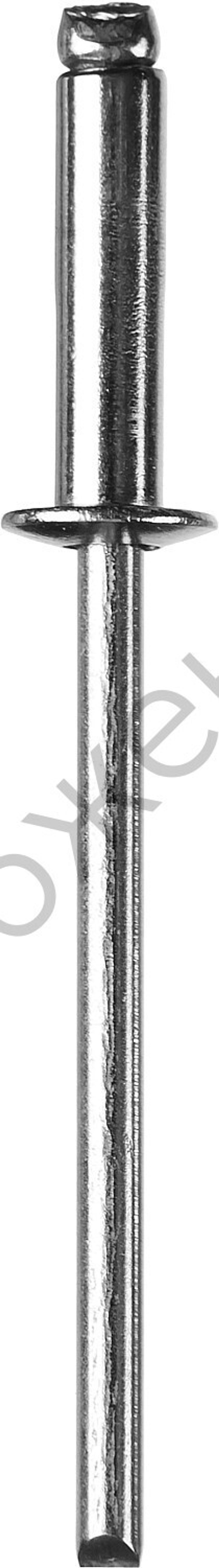 ЗУБР 3.2 х 8 мм, нержавеющие заклепки, 50 шт, Профессионал (313166-32-08)