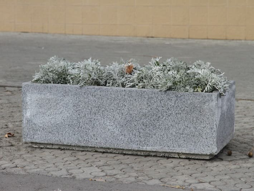 Цветочница Сильвия