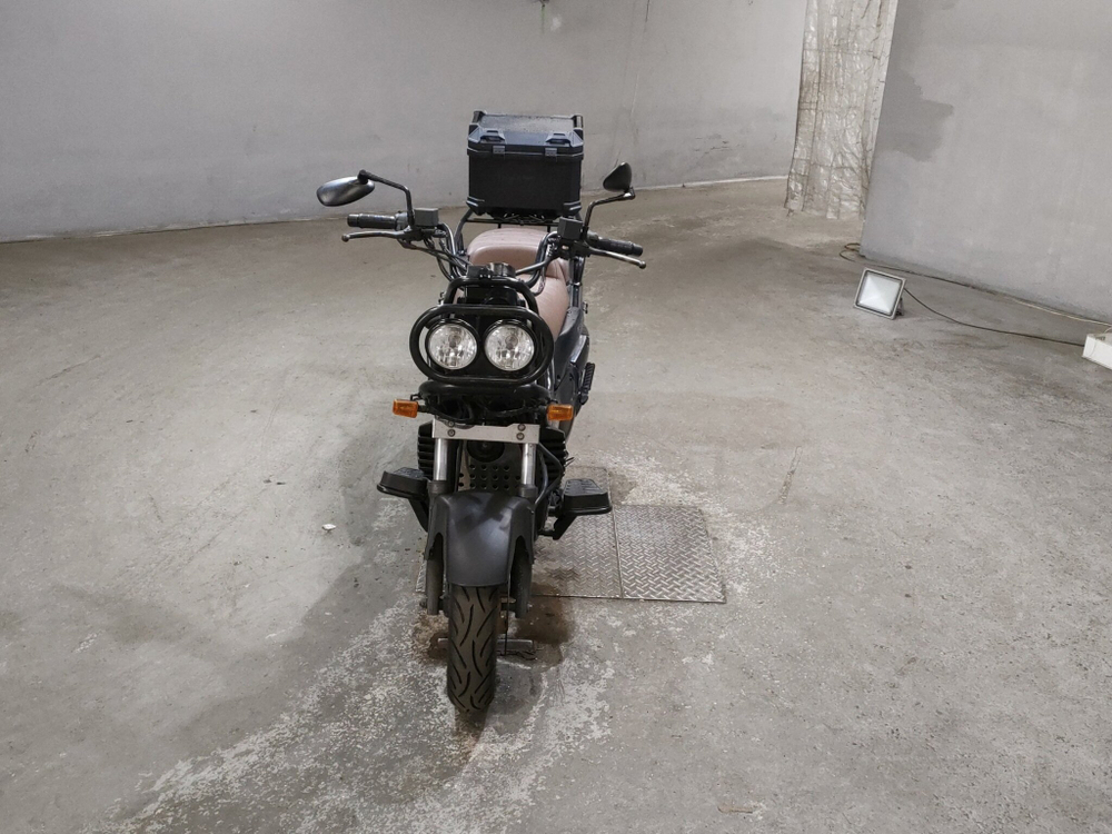 Honda PS250 Big Ruckus , 2004