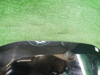 DSCN8506.jpg