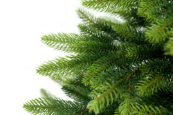 TAIGA 100%PU Ель искусственная Тайга литая 100% 250 см