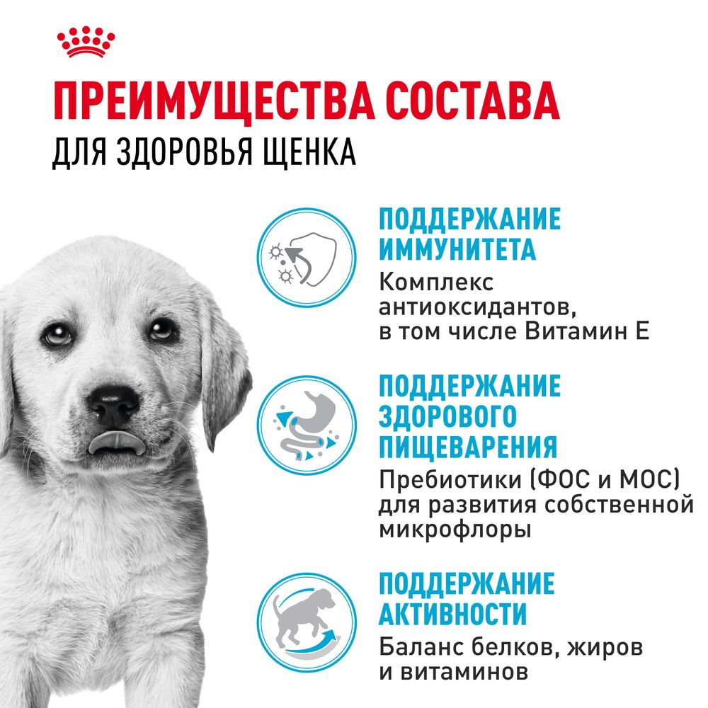 Сухой корм Royal Canin Labrador Retriever Puppy для щенков породы Лабрадор Ретривер до 15 месяцев Сухой корм Royal Canin Labrador Retriever Puppy для щенков породы Лабрадор Ретривер до 15 месяцев