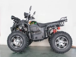 Электроквадроцикл Green Camel Сахара A4500 4x4 (72V 4000W R12 alum Дифференциал)