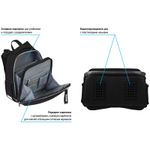 Ранец Berlingo Expert Furious power 37х28х16см, 2 отд., с анатомической спинкой