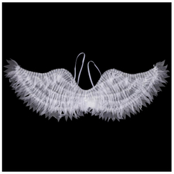 Крылья ангела белые светящиеся