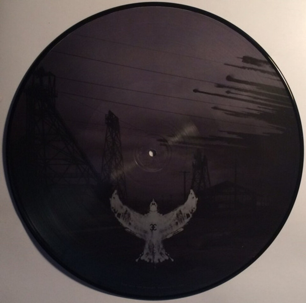 Soundgarden / Echo Of Miles - Scattered Tracks Across The Path (Limited Edition)(Picture Disc)(6LP)