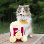 Развивающая игрушка Zippy Burrow Ведро попкорна ZippyPaws