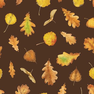 Осенние листья на коричневом