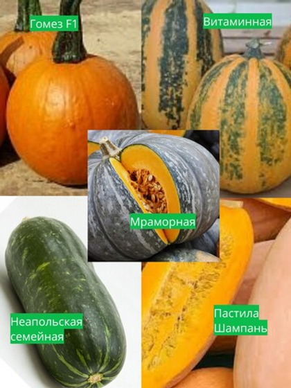 Набор тыкв 5 видов