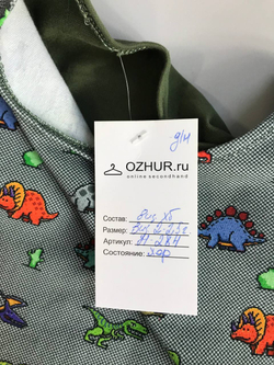 Лонг с динозаврами, на каждый день на 2 года