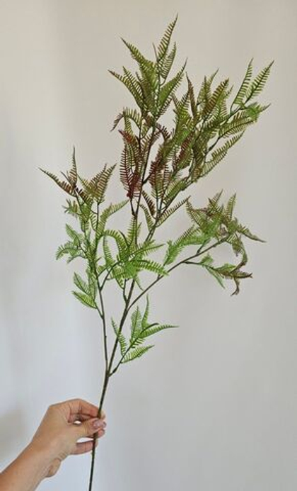 Папоротник мелколистный на стебле / Арт 5161