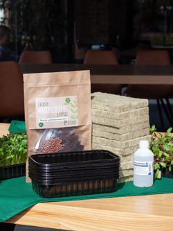 Набор для выращивания микрозелени ЛЕГКИЙ СТАРТ: семена, агровата, лотки