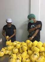 манго из Тайланда. сорт «Нам Док Май»