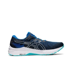 Мужские кроссовки ASICS GT-2000 10 'Lake Drive' 1011B185-401