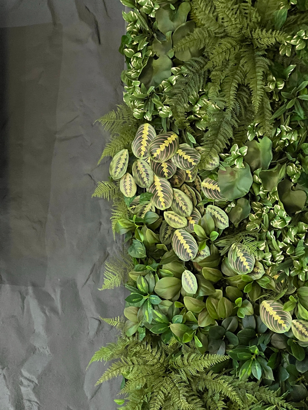 Панно из искусственных растений для офиса компании «Ava Group»