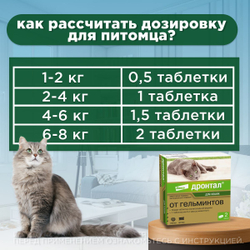 Таблетки от гельминтов для кошек, Дронтал 2 таблетки в упаковке, Пирантел эмбонат/Празиквантел.