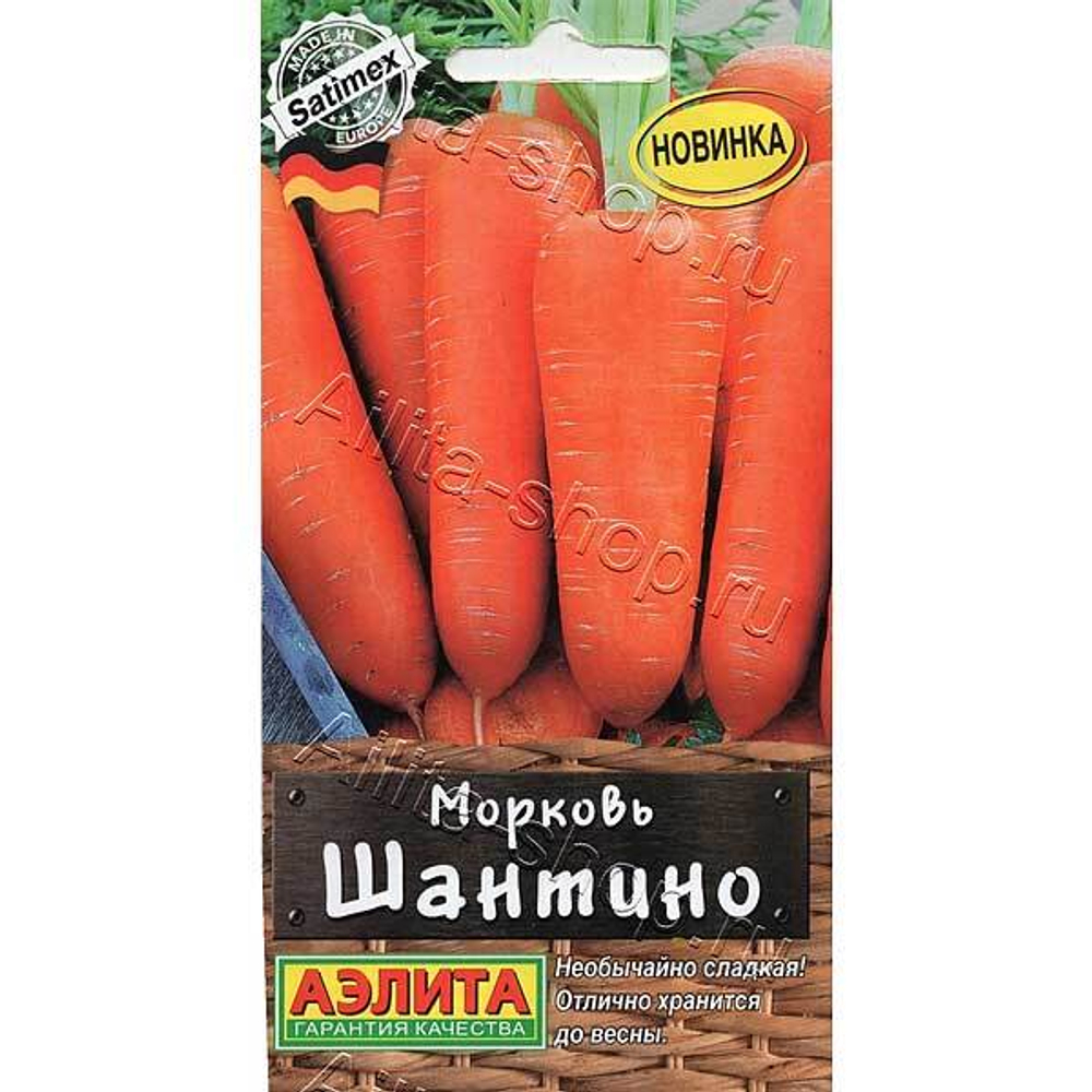 Морковь Шантино Аэлита