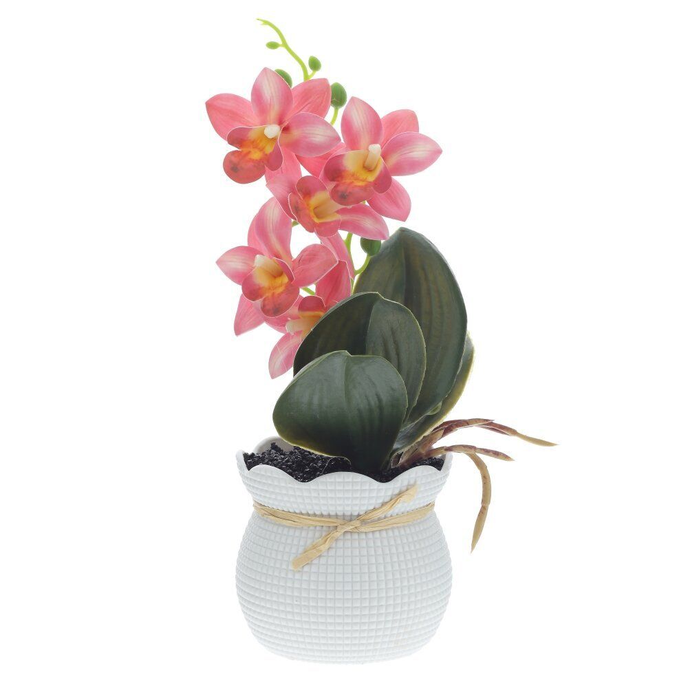 GAEM Цветочная композиция "Орхидея", L12,5 W11 H26 см