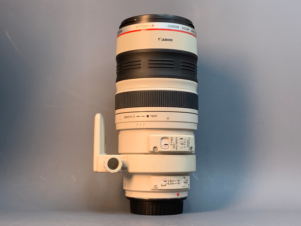 Canon EF 100-400mm 4.5-5.6L IS